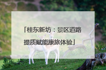 桂东新坊：景区道路提质赋能康旅体验