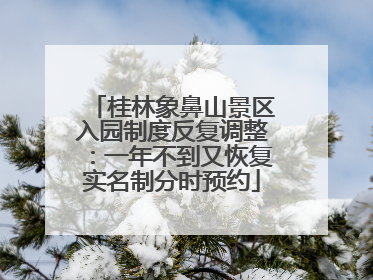 桂林象鼻山景区入园制度反复调整：一年不到又恢复实名制分时预约