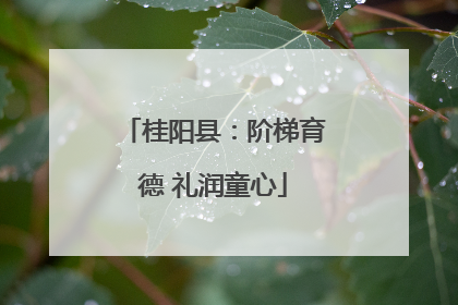 桂阳县：阶梯育德 礼润童心