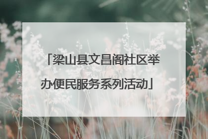 梁山县文昌阁社区举办便民服务系列活动