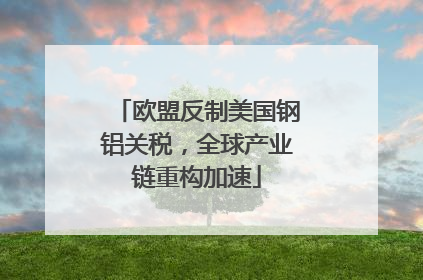 欧盟反制美国钢铝关税，全球产业链重构加速