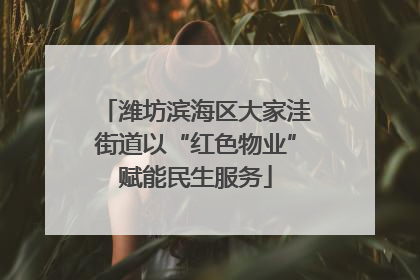 潍坊滨海区大家洼街道以“红色物业”赋能民生服务