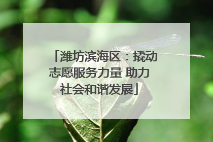 潍坊滨海区：撬动志愿服务力量 助力社会和谐发展