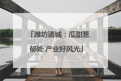 潍坊诸城：瓜甜葱郁处 产业好风光