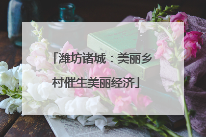 潍坊诸城：美丽乡村催生美丽经济