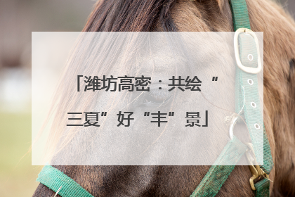 潍坊高密：共绘“三夏”好“丰”景