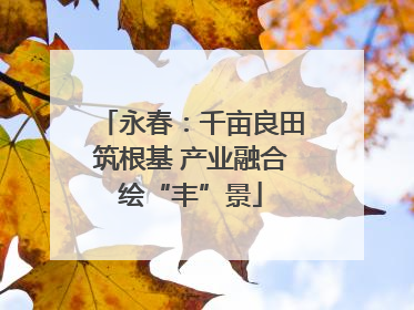 永春：千亩良田筑根基 产业融合绘“丰”景