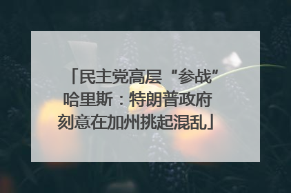 民主党高层“参战” 哈里斯：特朗普政府刻意在加州挑起混乱