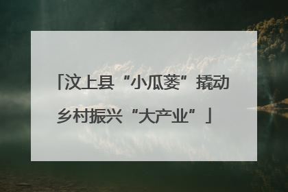 汶上县“小瓜蒌”撬动乡村振兴“大产业”