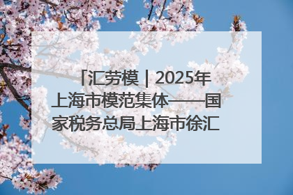 汇劳模｜2025年上海市模范集体——国家税务总局上海市徐汇区税务局第一税务所