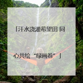 汗水浇灌希望田 同心共绘“绿画卷”