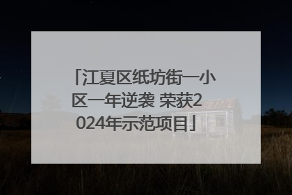 江夏区纸坊街一小区一年逆袭 荣获2024年示范项目
