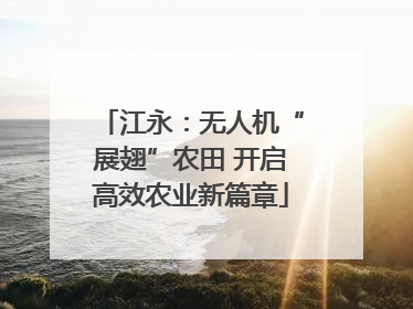 江永：无人机“展翅”农田 开启高效农业新篇章