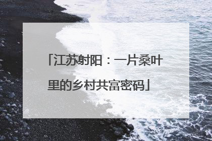江苏射阳：一片桑叶里的乡村共富密码