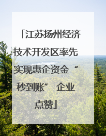 江苏扬州经济技术开发区率先实现惠企资金“秒到账” 企业点赞