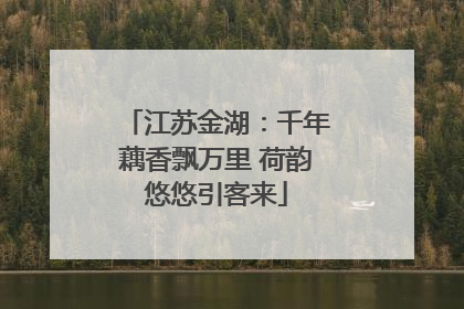 江苏金湖：千年藕香飘万里 荷韵悠悠引客来