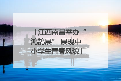 江西南昌举办“鸿鹄展” 展现中小学生青春风貌