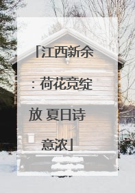 江西新余：荷花竞绽放 夏日诗意浓