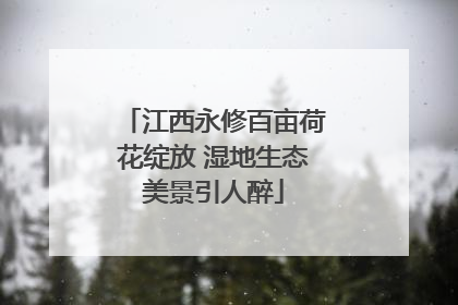江西永修百亩荷花绽放 湿地生态美景引人醉