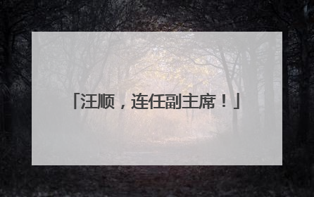 汪顺，连任副主席！