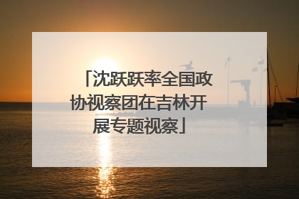 沈跃跃率全国政协视察团在吉林开展专题视察