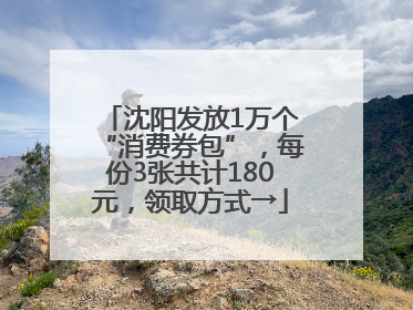 沈阳发放1万个“消费券包”，每份3张共计180元，领取方式→