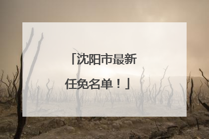 沈阳市最新任免名单！
