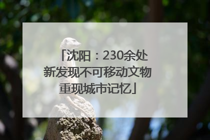 沈阳：230余处新发现不可移动文物重现城市记忆