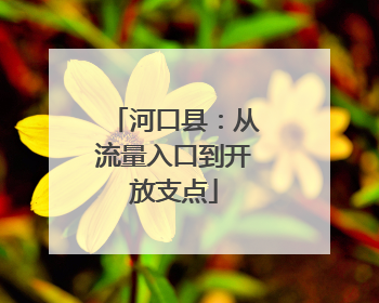 河口县：从流量入口到开放支点