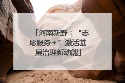 河南新野：“志愿服务＋”激活基层治理新动能