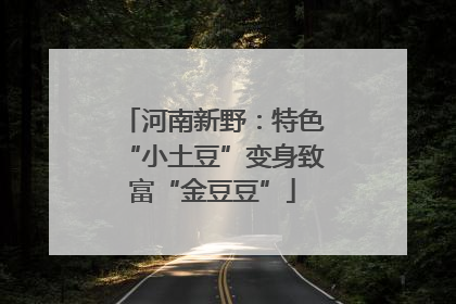 河南新野：特色“小土豆”变身致富“金豆豆”