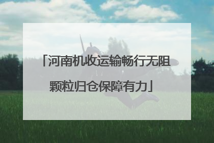 河南机收运输畅行无阻 颗粒归仓保障有力