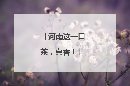 河南这一口茶，真香！
