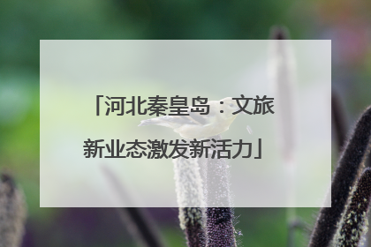 河北秦皇岛：文旅新业态激发新活力