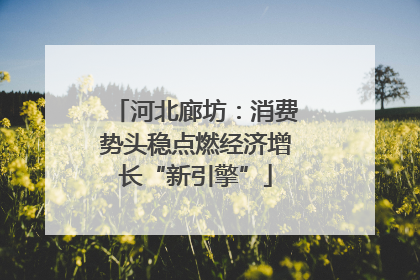 河北廊坊：消费势头稳点燃经济增长“新引擎”