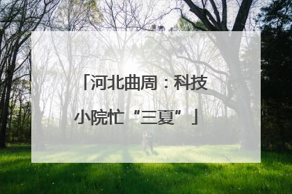 河北曲周：科技小院忙“三夏”