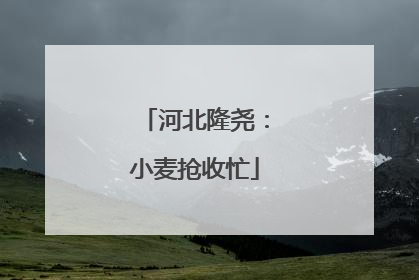 河北隆尧：小麦抢收忙