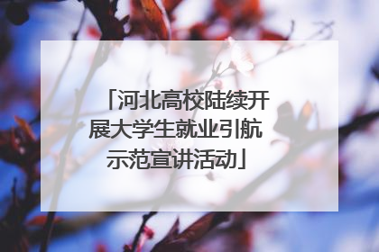 河北高校陆续开展大学生就业引航示范宣讲活动