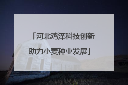 河北鸡泽科技创新助力小麦种业发展