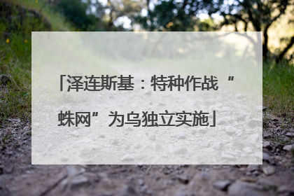 泽连斯基：特种作战“蛛网”为乌独立实施