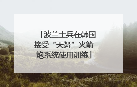 波兰士兵在韩国接受“天舞”火箭炮系统使用训练