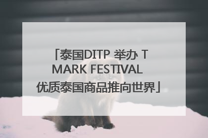 泰国DITP 举办 T MARK FESTIVAL 优质泰国商品推向世界