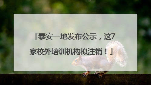 泰安一地发布公示，这7家校外培训机构拟注销！