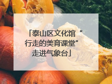 泰山区文化馆“行走的美育课堂”走进气象台