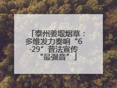 泰州姜堰烟草：多维发力奏响“6·29”普法宣传“最强音”