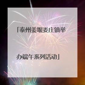 泰州姜堰娄庄镇举办端午系列活动
