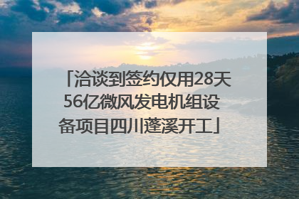 洽谈到签约仅用28天 56亿微风发电机组设备项目四川蓬溪开工