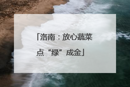 洛南：放心蔬菜点“绿”成金