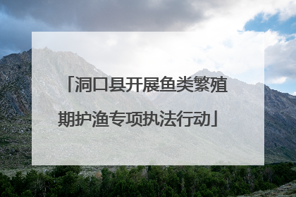 洞口县开展鱼类繁殖期护渔专项执法行动
