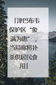 津巴布韦保护区“象满为患”，当局称将扑杀供居民食用